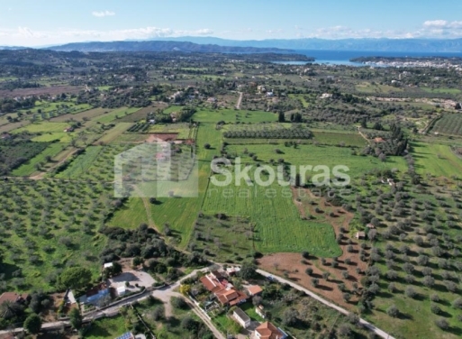 Landparzelle Petrothalassa, Kranidi 5.600 qm - 18