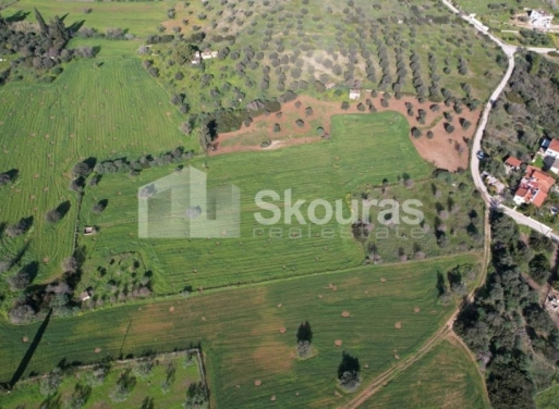 Landparzelle Petrothalassa, Kranidi 5.600 qm - 19