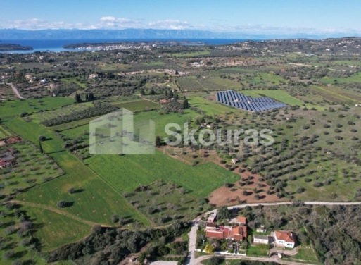 Landparzelle Petrothalassa, Kranidi 5.600 qm - 2