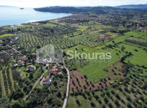 Landparzelle Petrothalassa, Kranidi 5.600 qm - 20