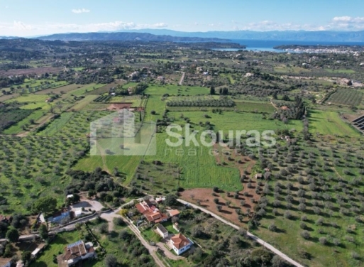 Landparzelle Petrothalassa, Kranidi 5.600 qm - 21