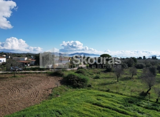 Landparzelle Petrothalassa, Kranidi 5.600 qm - 22