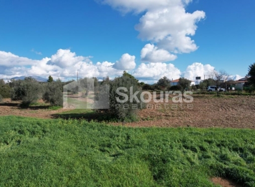 Landparzelle Petrothalassa, Kranidi 5.600 qm - 24