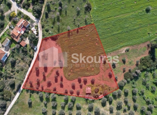 Landparzelle Petrothalassa, Kranidi 5.600 qm - 3