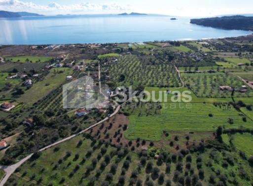 Landparzelle Petrothalassa, Kranidi 5.600 qm - 4