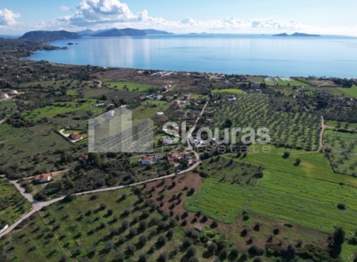 Landparzelle Petrothalassa, Kranidi 5.600 qm - 5