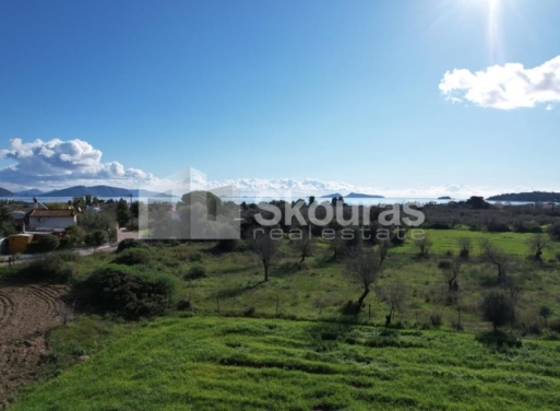 Landparzelle Petrothalassa, Kranidi 5.600 qm - 7