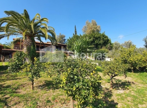 Μονοκατοικία Πορτοχέλι, Κρανίδι 258 τ.μ. - 19