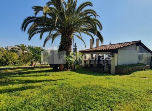 Μονοκατοικία Πορτοχέλι, Κρανίδι 258 τ.μ. - 21