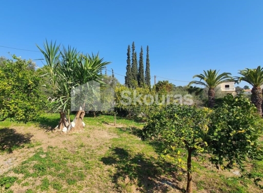 Μονοκατοικία Πορτοχέλι, Κρανίδι 258 τ.μ. - 25