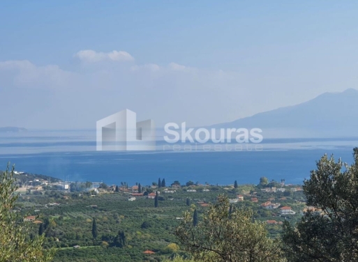 Agricultural Land Nea Epidavros, Epidavros 4.500 m2 - 11