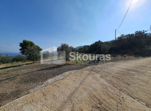 Agricultural Land Nea Epidavros, Epidavros 4.500 m2 - 12