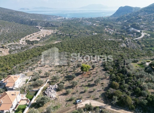 Agricultural Land Nea Epidavros, Epidavros 4.500 m2 - 14