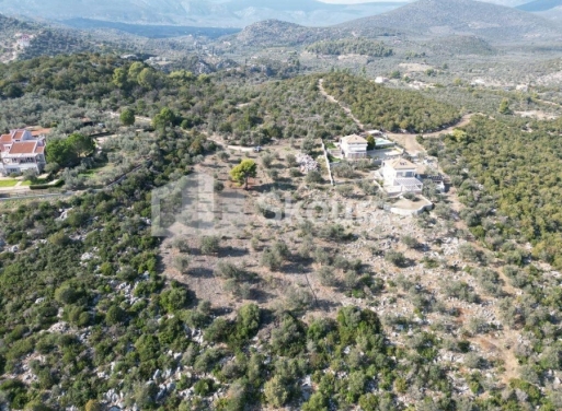 Agricultural Land Nea Epidavros, Epidavros 4.500 m2 - 15