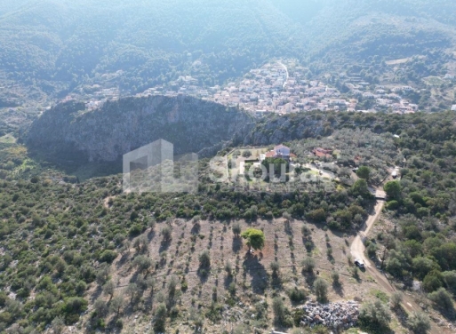 Agricultural Land Nea Epidavros, Epidavros 4.500 m2 - 17