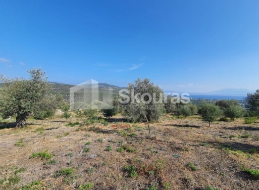 Agricultural Land Nea Epidavros, Epidavros 4.500 m2 - 19