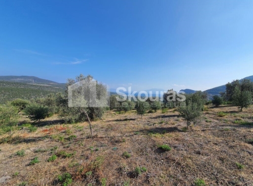 Agricultural Land Nea Epidavros, Epidavros 4.500 m2 - 20
