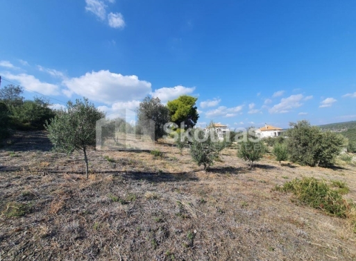 Agricultural Land Nea Epidavros, Epidavros 4.500 m2 - 21