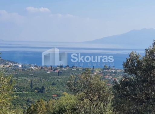 Agricultural Land Nea Epidavros, Epidavros 4.500 m2 - 22