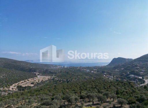 Agricultural Land Nea Epidavros, Epidavros 4.500 m2 - 23