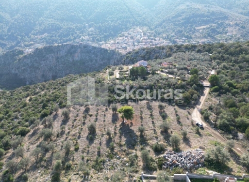 Agricultural Land Nea Epidavros, Epidavros 4.500 m2 - 24