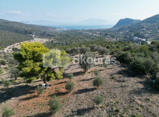 Agricultural Land Nea Epidavros, Epidavros 4.500 m2 - 3