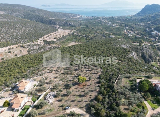 Agricultural Land Nea Epidavros, Epidavros 4.500 m2 - 4