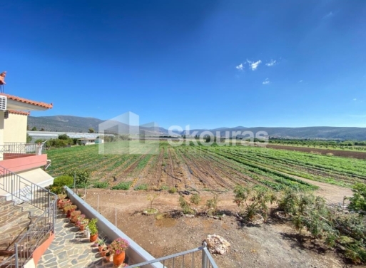 Apartment Iria, Asini 75 m2 - 22