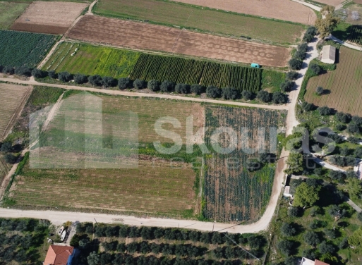 Landparzelle Kantia, Asini 9.500 qm - 11