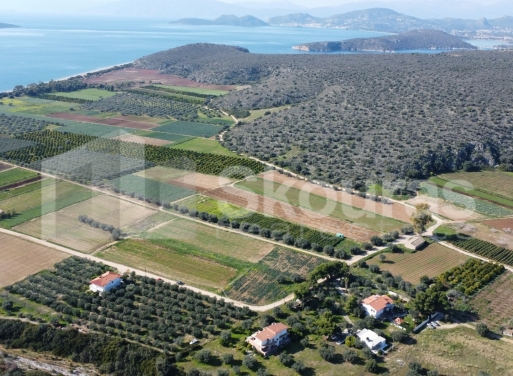 Landparzelle Kantia, Asini 9.500 qm - 14