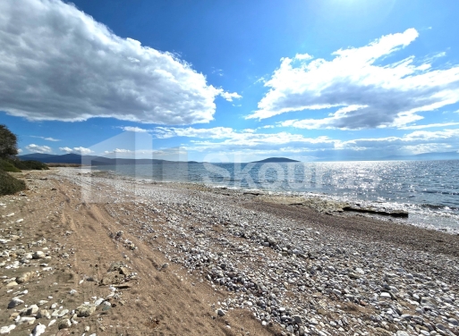 Landparzelle Kantia, Asini 9.500 qm - 15