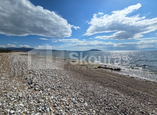 Landparzelle Kantia, Asini 9.500 qm - 20
