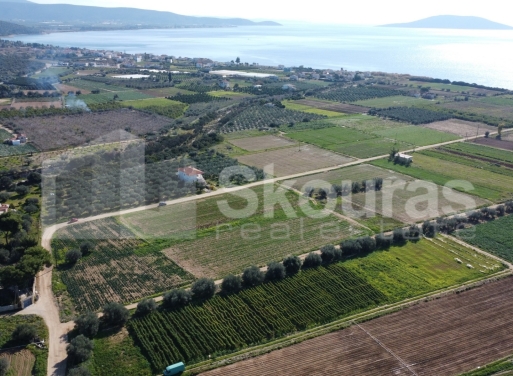 Landparzelle Kantia, Asini 9.500 qm - 9