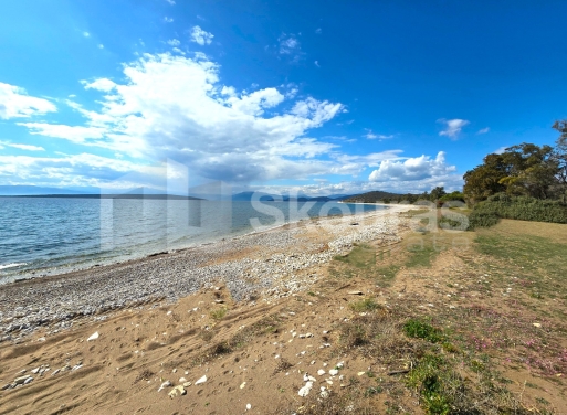 Landparzelle Kantia, Asini 9.500 qm - 18