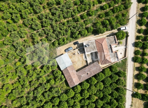 Μονοκατοικία Νέο Ηραίο, Μυκήνες 140 τ.μ. - 22
