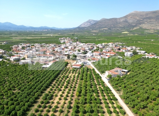 Μονοκατοικία Νέο Ηραίο, Μυκήνες 140 τ.μ. - 7