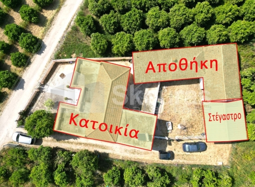 Μονοκατοικία Νέο Ηραίο, Μυκήνες 140 τ.μ. - 3