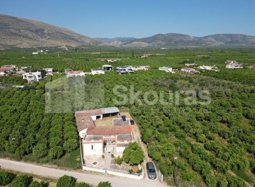 Μονοκατοικία Νέο Ηραίο, Μυκήνες 140 τ.μ. - 14