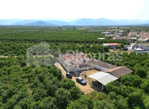 Μονοκατοικία Νέο Ηραίο, Μυκήνες 140 τ.μ. - 2