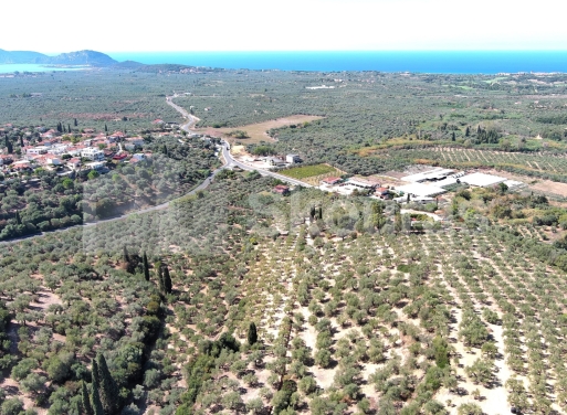 Landparzelle Korifasio, Nestoras 5.867 qm - 15