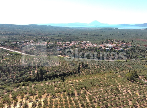 Landparzelle Korifasio, Nestoras 5.867 qm - 17