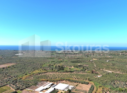 Landparzelle Korifasio, Nestoras 5.867 qm - 20