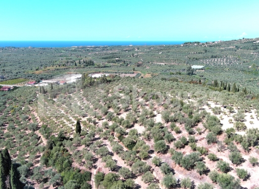 Landparzelle Korifasio, Nestoras 5.867 qm - 2