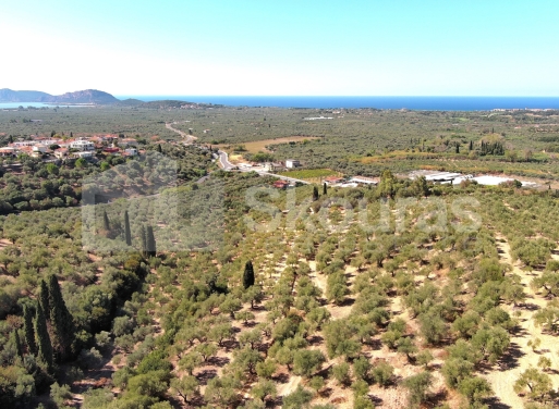 Landparzelle Korifasio, Nestoras 5.867 qm - 14
