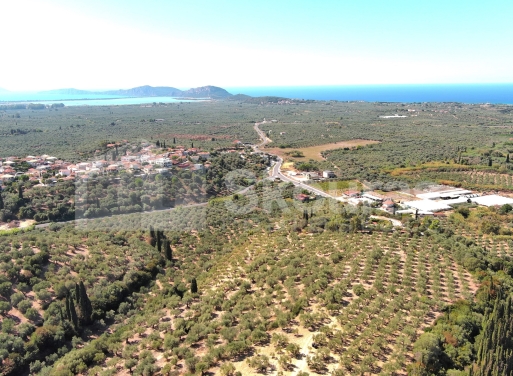Landparzelle Korifasio, Nestoras 5.867 qm - 13