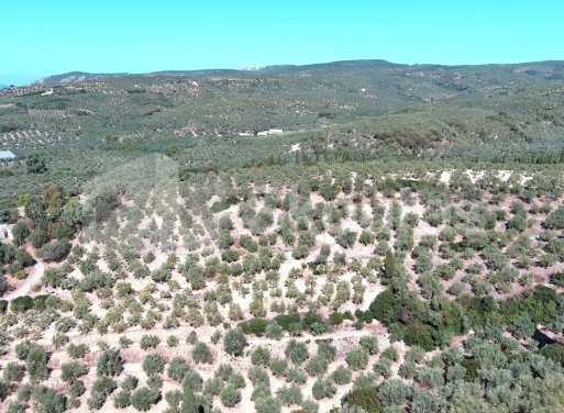 Landparzelle Korifasio, Nestoras 5.867 qm - 5