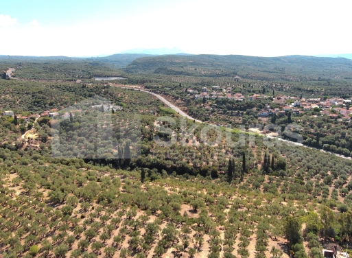 Landparzelle Korifasio, Nestoras 5.867 qm - 18