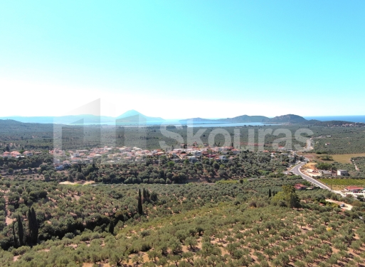 Landparzelle Korifasio, Nestoras 5.867 qm - 16