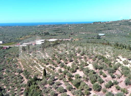Landparzelle Korifasio, Nestoras 5.867 qm - 7