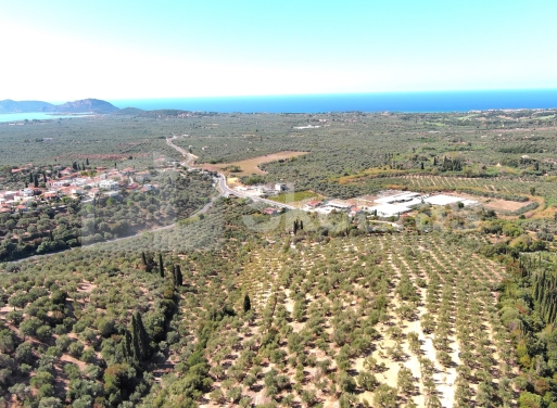 Landparzelle Korifasio, Nestoras 5.867 qm - 9